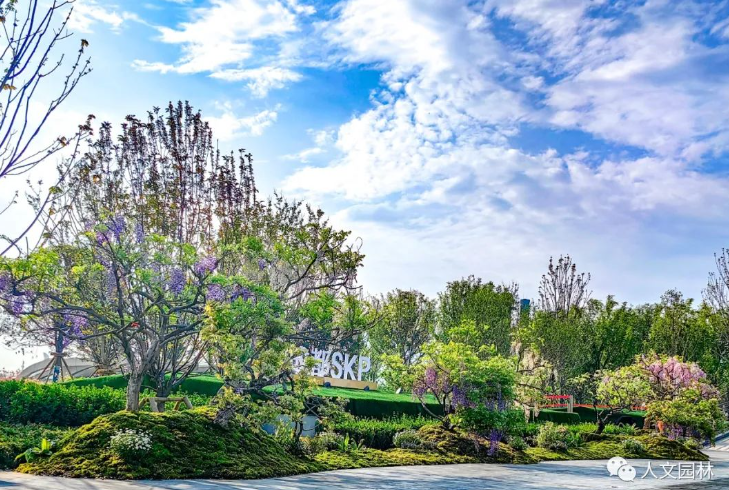 1683770330163262CAAB.png image.png