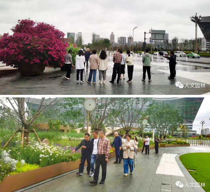 16837704373009216C48.png image.png