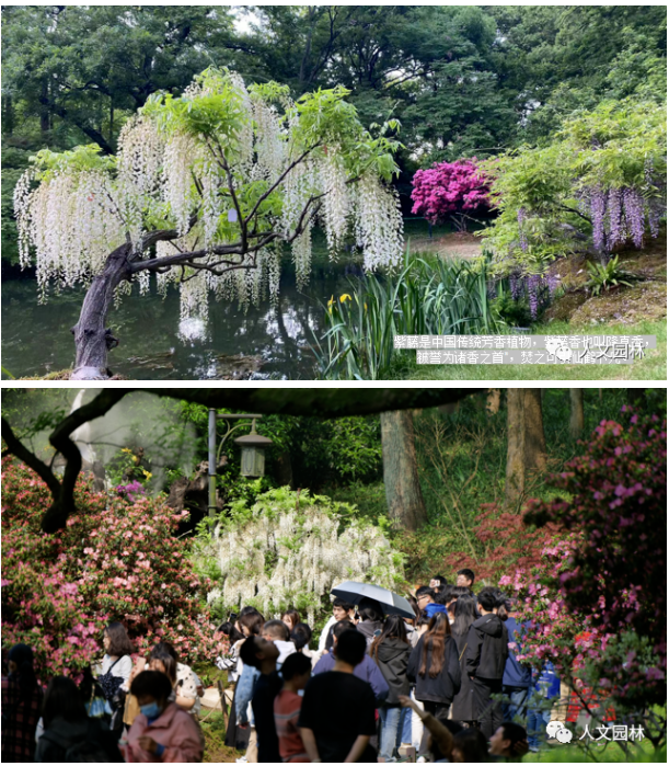 1683792047880903358D.png image.png